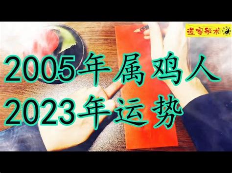 雲南昆明 2005年是什麼年